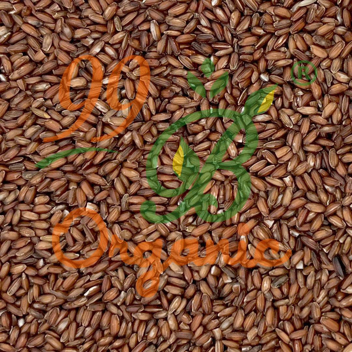 Sivappu Kavuni Rice 500gm - 99B Organic