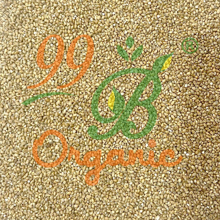 Nattu Kambu 500gms - 99B Organic