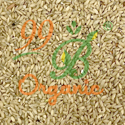Kaala Namak rice 500g – aromatic traditional heritage rice from UP 99B Organic