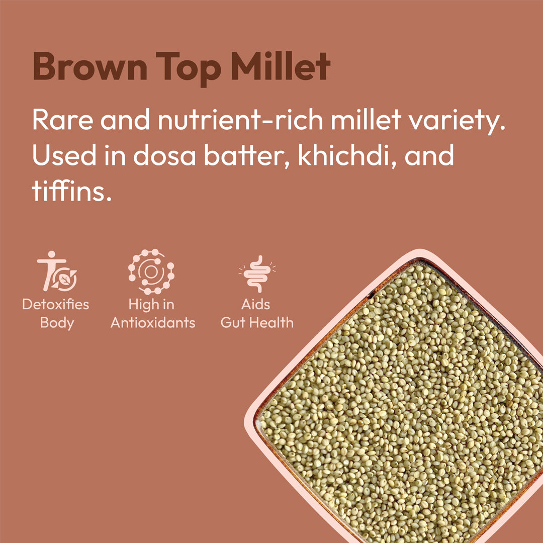 Organic brown top millet 500g rare ancient grain antioxidant rich healthy millet by 99B Organic