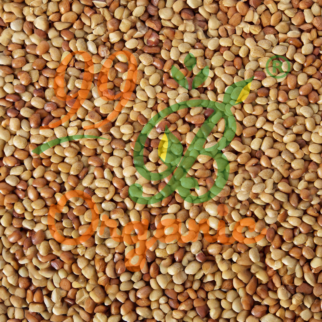 Organic kollu red horse gram 500g protein rich traditional pulse by 99B Organic