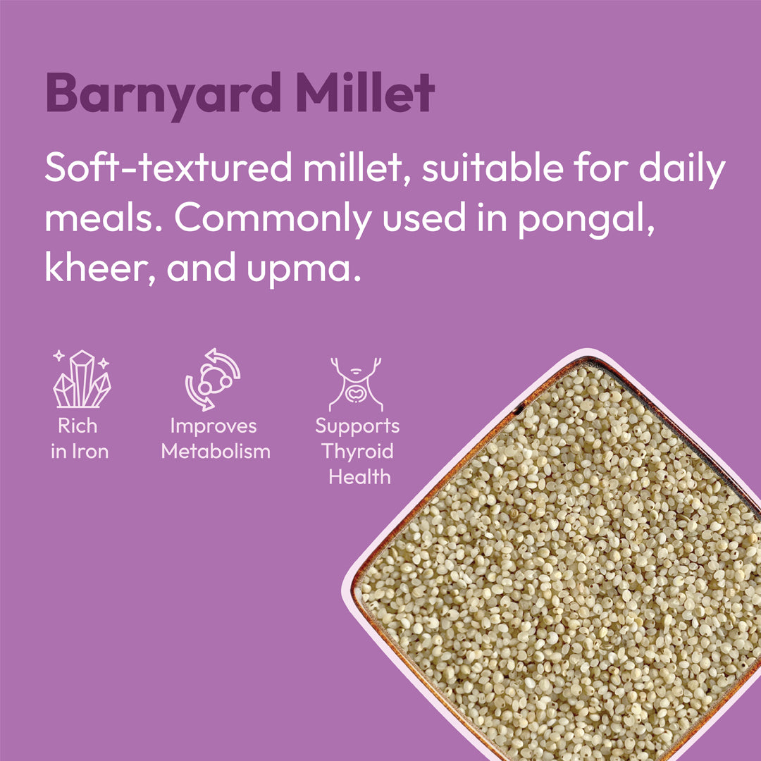 Organic kuthiravali raw barnyard millet 500g fiber rich healthy millet grain by 99B Organic