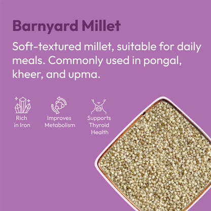 Organic kuthiravali raw barnyard millet 500g fiber rich healthy millet grain by 99B Organic