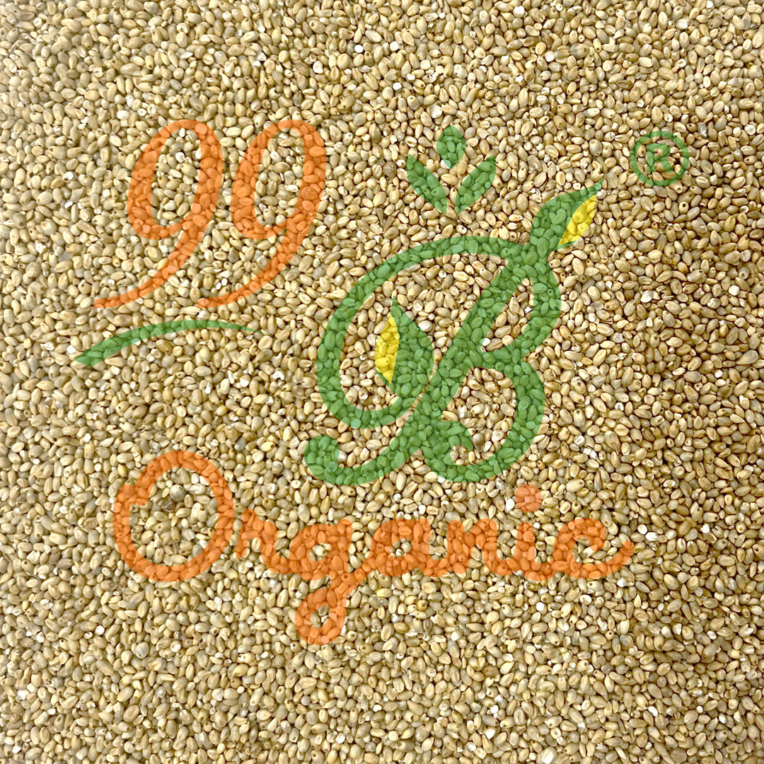 Organic nattu kambu pearl millet 500g healthy traditional millet grain by 99B Organic