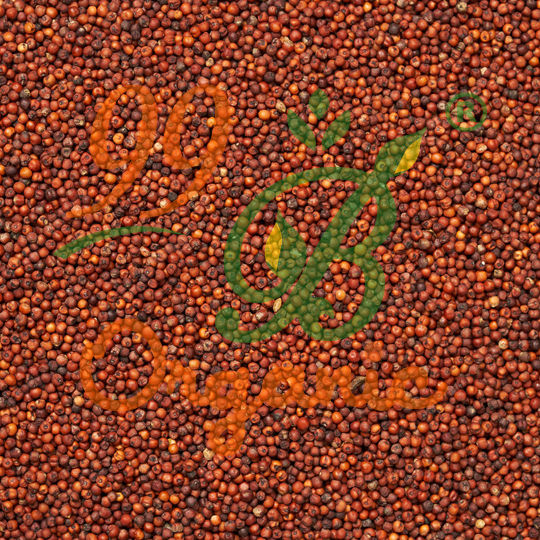 Organic ragi finger millet 500g healthy calcium rich millet grain by 99B Organic