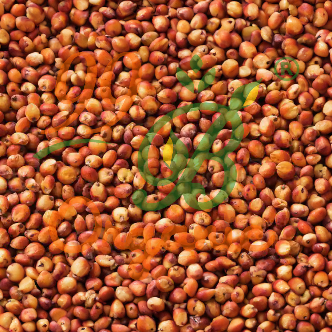 Organic red cholam sorghum grain 500g healthy traditional millet by 99B Organic