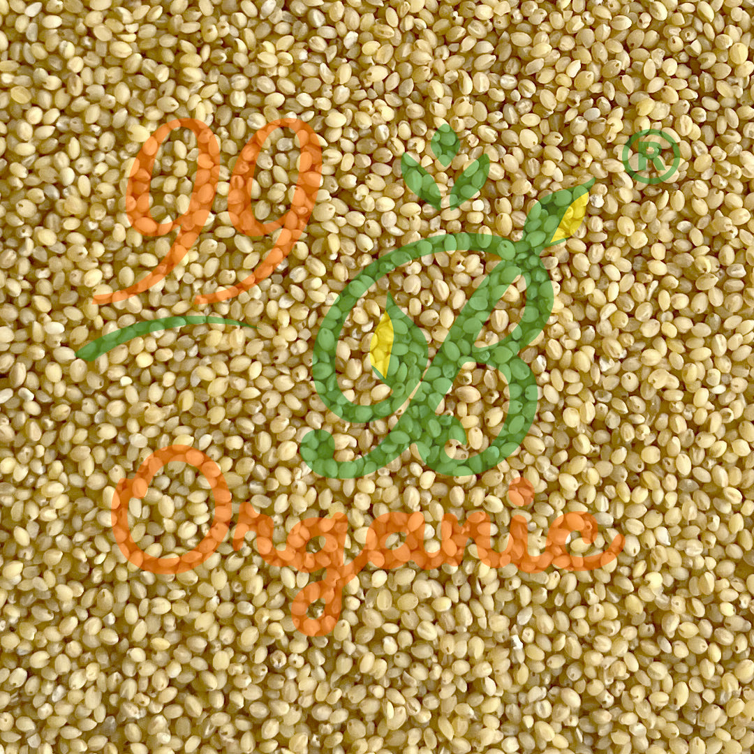 Organic thinai raw foxtail millet 500g iron rich high fiber millet by 99B Organic