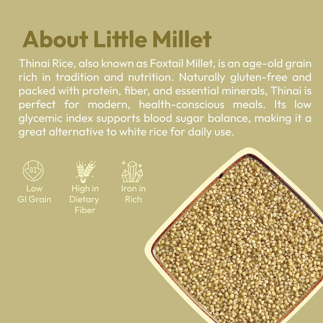 Organic thinai raw foxtail millet 500g iron rich high fiber millet by 99B Organic