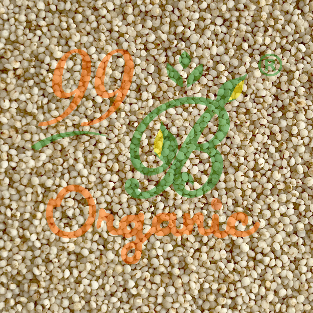 Organic varagu raw kodo millet 500g unpolished healthy rice alternative millet by 99B Organic