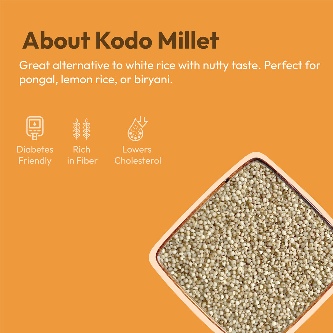 Organic varagu raw kodo millet 500g unpolished healthy rice alternative millet by 99B Organic